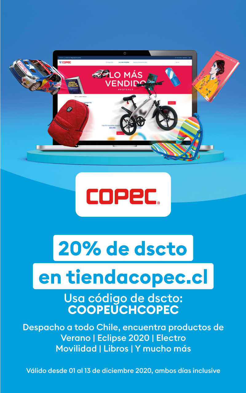 Coepoch CG Spanngurte 4 Stück - 2,5cm X 30,5cm Neon Sicherheitsfarbe